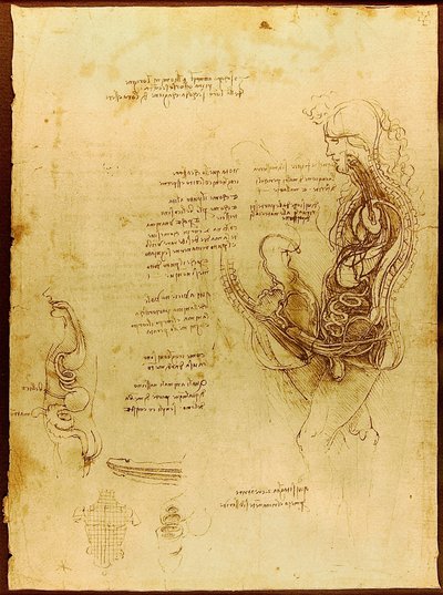 Coito di un Uomo e una Donna Emisecati da Leonardo da Vinci